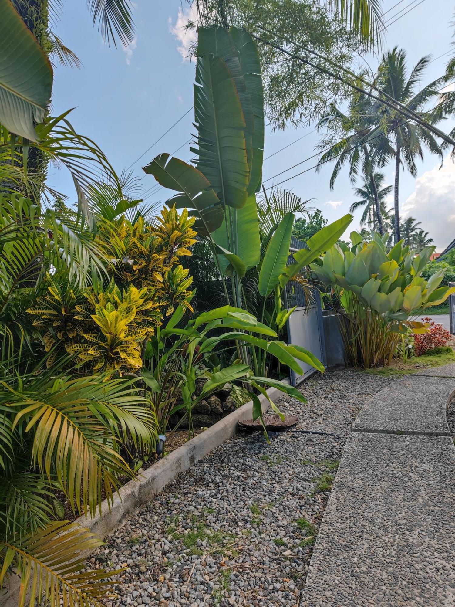 Daluyong Beach Resort General Luna  Exterior photo